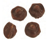 Chokladsvamp