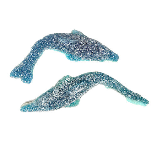 Big sour dolphin