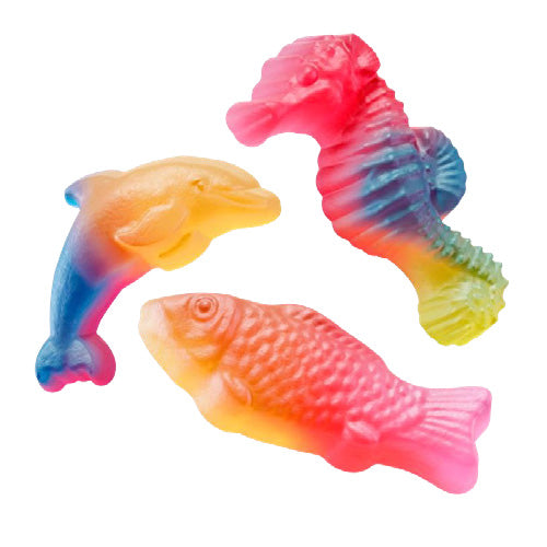 Malaco rainbow sea