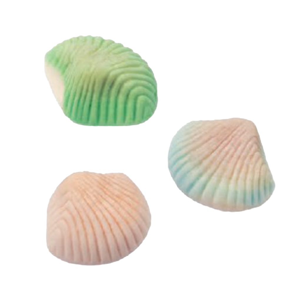 Foam shells